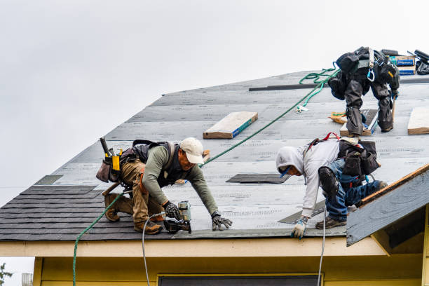 Professional Storm Damage Roof Repair technician working in Plano, IL